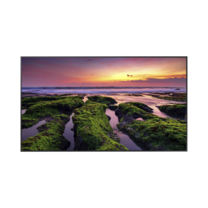 Pantalla Profesional LED de 55", UHD 4K (3840x2160p), Entradas de Video HDMI, Bocinas Integradas de 10 W. Compatible VESA
