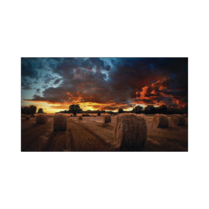 Pantalla Profesional de 46" para Video Wall, Full HD (1080p), HDMI/DVI-D, Bisel Ultra Delgado de 2.25mm. Compatible VESA